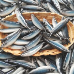 sardinha realista imane pintada á mão