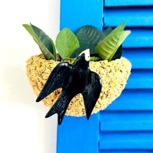 510474367 18000739916791643 3634376267948778229 n