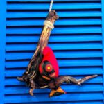 passarinho de tecido vermelho, pousado num galho de madeira